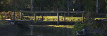 Lake Weyba Cottages Noosa - Accommodation Batemans Bay 34