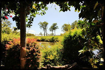 Lake Weyba Cottages Noosa - Accommodation Batemans Bay 36