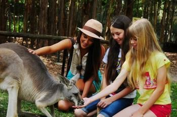 Pacific Horizons Resort - Accommodation Batemans Bay 23