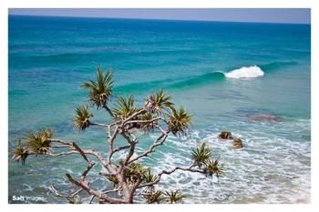 Pacific Horizons Resort - Accommodation Batemans Bay 24