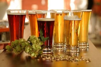 Potters Hotel Brewery Resort - Accommodation Batemans Bay 12