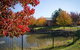 Potters Hotel Brewery Resort - thumb 41