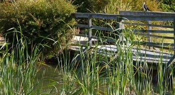 Potters Hotel Brewery Resort - Accommodation Batemans Bay 42