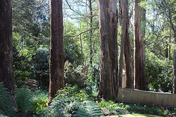 Adeline Bed And Breakfast - Accommodation Batemans Bay 8