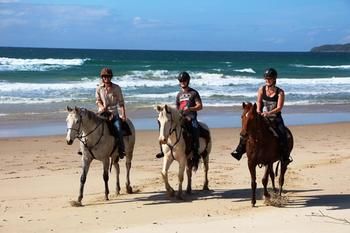 Sunset Cove Noosa - Accommodation Batemans Bay 24