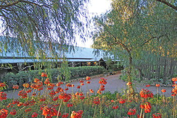 Casuarina Estate - Accommodation Batemans Bay 49