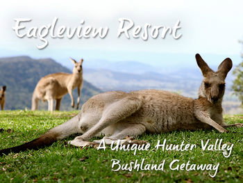 Eagleview Resort - Accommodation Batemans Bay 45