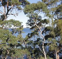 The Edgewater Bed amp Breakfast - Accommodation Batemans Bay
