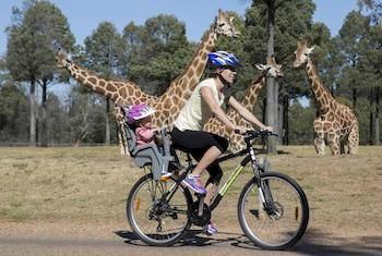 Zoofari Lodge, Taronga Western Plains Zoo - Accommodation Batemans Bay 7