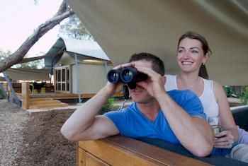 Zoofari Lodge, Taronga Western Plains Zoo - Accommodation Batemans Bay 12