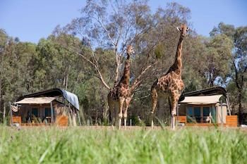 Zoofari Lodge, Taronga Western Plains Zoo - Accommodation Batemans Bay 13