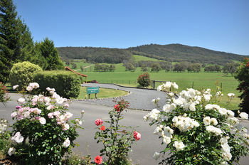 Langbrook Estate Cottages - Accommodation Batemans Bay 15