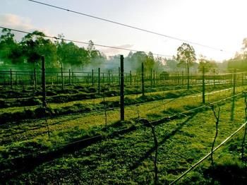 Hunter Country Lodge - Accommodation Batemans Bay 3