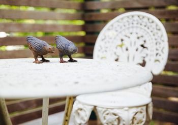 Strathvea Guest House - Accommodation Batemans Bay 19