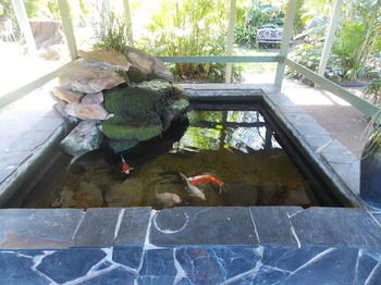 The Willows - Accommodation Batemans Bay 0
