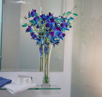 Grand Hotel Wyong - Accommodation Batemans Bay