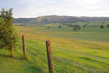 The Wattle Lodge - Accommodation Batemans Bay 21