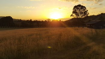 The Wattle Lodge - Accommodation Batemans Bay 35