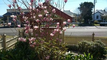 37 Queen Gloucester - Accommodation Batemans Bay 5