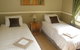 37 Queen Gloucester - thumb 7