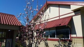 37 Queen Gloucester - Accommodation Batemans Bay 12