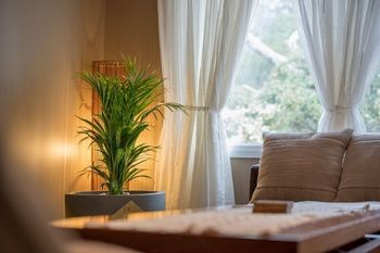 Mountainside B&B - Accommodation Batemans Bay 15