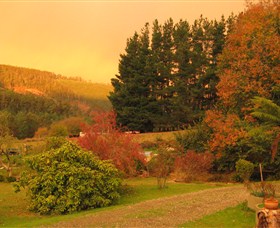 Lyrebird Cottage - Accommodation Batemans Bay 3