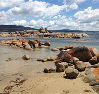 Lake Eckersley campground - Accommodation Batemans Bay