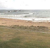 Penguin Caravan Park - Accommodation Batemans Bay