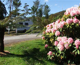 Zeehan Bush Camp  And Caravan Park - Accommodation Batemans Bay 0