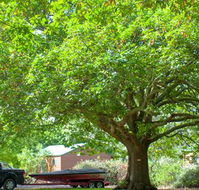 Lakes and Craters Holiday Park - Accommodation Batemans Bay
