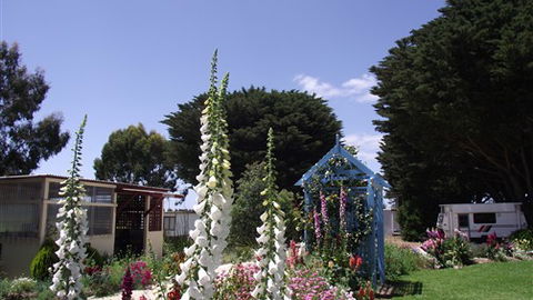 Colac Otway Caravan & Cabin Park - Accommodation Batemans Bay 1