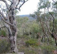 The Glen - Accommodation Batemans Bay