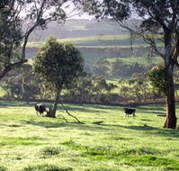 Bellevue Farmstay - Accommodation Batemans Bay