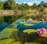 Planetrees Estate  - Accommodation Batemans Bay