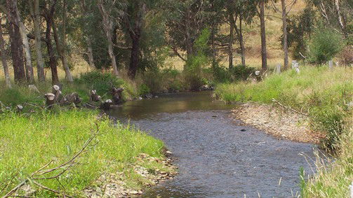 Thowgla Valley VIC Accommodation Batemans Bay