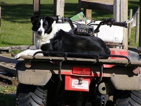 Breakaway Farmstay - Accommodation Batemans Bay 3