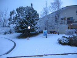 Aalberg Chalet - Accommodation Batemans Bay 4
