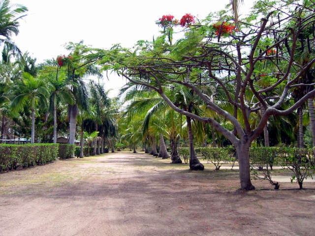 Alva QLD Accommodation Batemans Bay