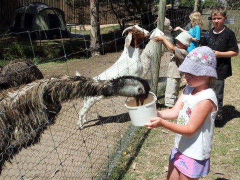 BIG4 Bairnsdale Holiday Park - Accommodation Batemans Bay 0