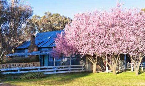 Bushlands Tourist Park - Accommodation Batemans Bay 3