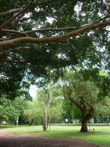 Discovery Holiday Parks - Darwin - Accommodation Batemans Bay 10