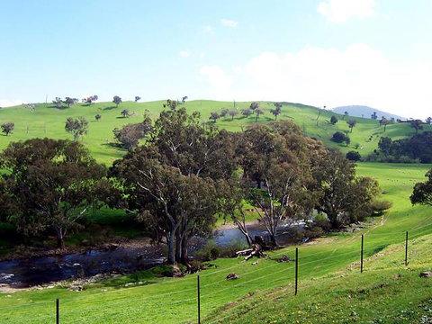Elm Cottage - Tumut - Accommodation Batemans Bay 4