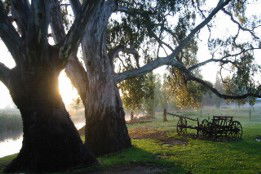 Mudgee's Getaway Cottages - Accommodation Batemans Bay 3
