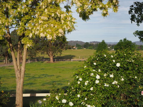Myamba House Kyneton - Accommodation Batemans Bay 5