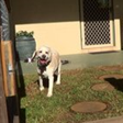 Neds Bed - Accommodation Batemans Bay 7