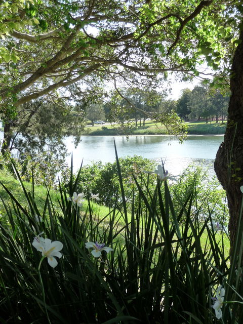 Netherby House - Accommodation Batemans Bay 6