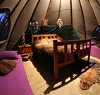 Aranyani Bison Adventure Tourist Park - Accommodation Batemans Bay