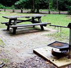 Bellbird campground - Accommodation Batemans Bay