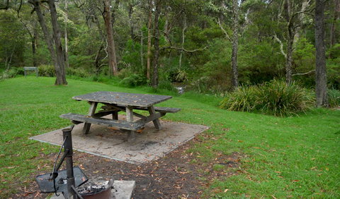 Chaelundi Campground - Accommodation Batemans Bay 0